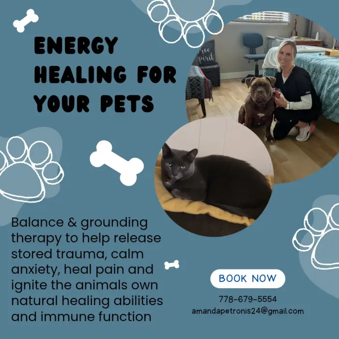 Pet Reiki